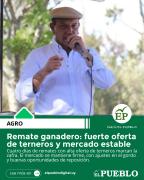 Remate ganadero: fuerte oferta de terneros y mercado estable