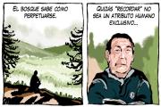 El bosque, la tira de Chelo Candia en el suple Viajes y Turismo