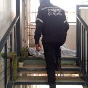 Cicpc-Mariara busca al esposo de la víctima por el femicidio