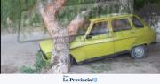 Cayó un árbol de gran porte sobre un auto