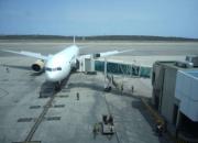 Arriban al Aeropuerto de Maiquetía 171 venezolanos