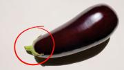 Si tenés berenjena en tu casa, tenés un tesoro en tus manos: cómo reutilizar su corona o cáliz