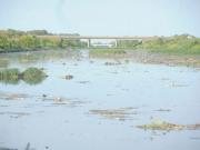 Contaminación de la cuenca del Río de la Plata: un juez dio lugar a la apelación de la provincia de Buenos Aires