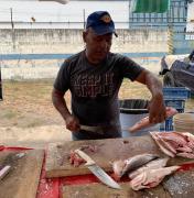 La venta de pescado va lenta pero con precios accesibles y alta expectativa