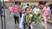 Domingo de Ramos: Creencia, fervor y milagros