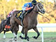 Ruta al Kentucky Derby: Renegade con Irad Ortiz Jr. conquista el Arkansas Derby (G1) de $1.500.000