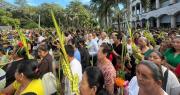 Domingo de Ramos: Miles de fieles llegan con palmas a los templos del país; el presidente se suma a los actos en La Paz