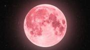 ¿Cuándo ver la Luna Rosa en Bolivia? Todo sobre el estreno astral del 01 de abril