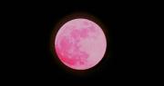 La Luna Rosa iluminará Bolivia: ¿Cuándo y a qué hora se la podrá ver?