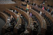 Diputadas Requena, Romero y Ballivián bloquean ley que promueve la plantación de árboles
