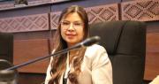 Diputado dice que Diana Romero registra seis faltas en sesiones y cuestiona manejo de licencias