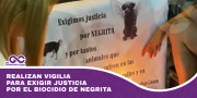 Realizan vigilia para exigir justicia por el biocidio de Negrita