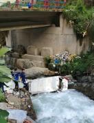 Motorizado cae a un río en Quime y reportan que un bebé fue arrastrado por la corriente