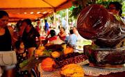 San Carlos invita a la 18ª Feria del Chocolate con actividades culturales y productivas