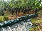 FELCN incauta más de 300 kilos de droga en tres días