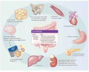 Agonistas del receptor GLP-1