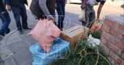 Hallan animales hacinados en bolsas en Cochabamba durante operativo en La Cancha