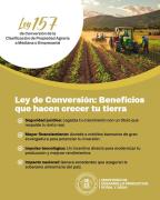 Ley 157: oportunidad para el emprendedor rural