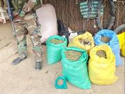 Secuestran más de 7 mil kilos de drogas y precursores químicos en 5 operativos