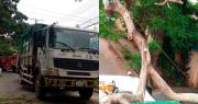 Un árbol cae sobre un camión recolector de basura