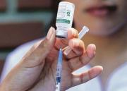 Alerta sanitaria en Bolivia: Salud refuerza vacunación en zonas de riesgo por fiebre amarilla