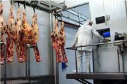 Paraguay exportará carne de alta calidad sin aranceles