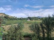 El verdor de las fincas tarijeñas