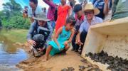 Liberarán más de 2.500 tortugas en Manuripi para fortalecer la conservación