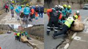 Despejan la avenida Del Libertador tras caída de rocas; evalúan riesgo de nuevos deslizamientos
