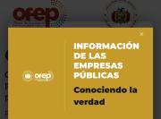 Gobierno publica un sistema con los estados financieros de las 67 empresas estatales