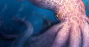 El pulpo carnívoro de 19 metros que acechaba los antiguos océanos