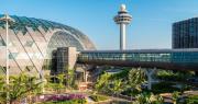Cómo es el mejor aeropuerto del mundo (y cuál es el secreto para que sea un paraíso para los viajeros)