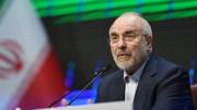 Irán señala que más de 30 millones de personas se apuntan como voluntarios frente a EEUU