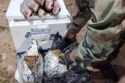 En el Norte de La Paz la FELCN incauta marihuana camuflada en pescados