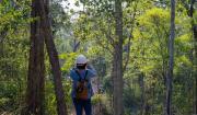 Reino Unido destina $7 millones para la conservación de bosques en Bolivia