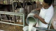 Gobierno impulsa mayor consumo de leche, poco después de desregular su precio