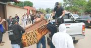 El acusado de matar a su padre intentó encubrir el crimen