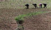 Corea del Norte sufre “sequía sin precedentes”