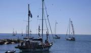 Israel intercepta flotilla que iba rumbo a Gaza