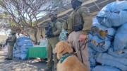 Un boliviano detenido en Chile al desbaratar una red internacional de narcotráfico