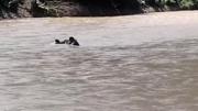 Cinco muertos tras caída de vehículo al río en Guanay