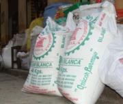 Cañeros denunciaron competencia desleal de muchos comerciantes “inescrupulosos”