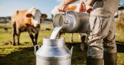 “Mi Bolivia lechera”: la apuesta estatal para salvar un alimento básico en medio de tensiones del mercado