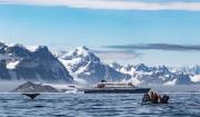 Tres muertos por un posible brote de hantavirus en un crucero por el Atlántico que salió de Argentina