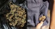 Hallan marihuana tras intervención policial en una fiesta de jóvenes