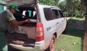 Cuatro personas son procesadas por caza ilegal de ciervos en el Parque Otuquis