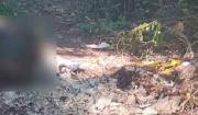 Hallan a una persona carbonizada y sin cabeza en La Angostura