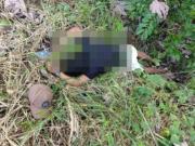 Acribillan a un joven a un costado de la ruta en el Trópico