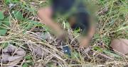 Acribillan a un hombre en carretera de Entre Ríos