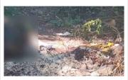 Hallan hombre decapitado y quemado en Santa Cruz; ¿y el nuevo Grupo Táctico?